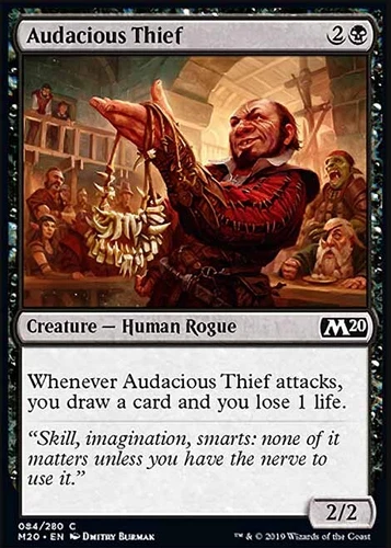 Audacious Thief #