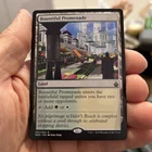 Bountiful Promenade