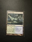 Breeding Pool [Foil] #