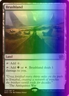 Brushland #