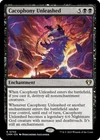 Cacophony Unleashed #