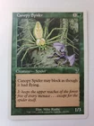 Canopy Spider
