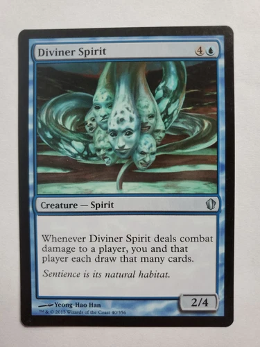 Diviner Spirit