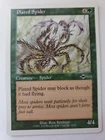 Plated Spider