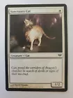 Sanctuary Cat