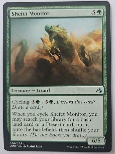 Shefet Monitor