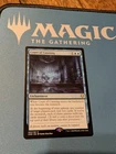 Court of Cunning #