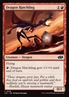 Dragon Hatchling #