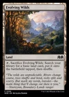 Evolving Wilds #