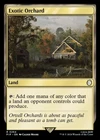 Exotic Orchard #