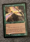 Birds of Paradise