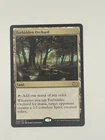 Forbidden Orchard