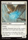 Healer's Hawk #