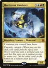 Maelstrom Wanderer #
