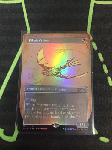 Pilgrim's Eye