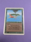 Birds of Paradise