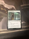 Rogue's Passage