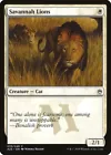 Savannah Lions #