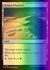Scoured Barrens #
