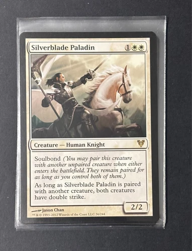 Silverblade Paladin