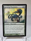 Sprouting Phytohydra