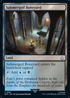 Submerged Boneyard [Foil] #