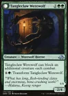 Tangleclaw Werewolf #