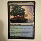 Tangled Islet #