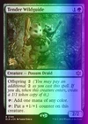 Tender Wildguide [Foil] #