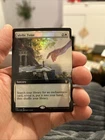 Dawnglade Regent
