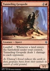 Lavastep Raider #