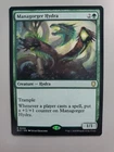 Managorger Hydra