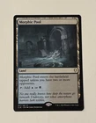 Morphic Pool #
