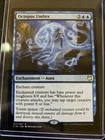 Octopus Umbra