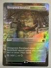 Mountain [Foil] #