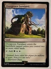 Overgrown Farmland [Extended Art] #