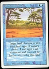 Phantasmal Terrain #