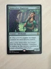 Immaculate Magistrate