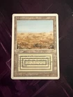 Scrubland