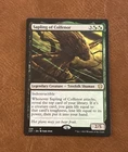 Sapling of Colfenor