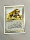 Savannah Lions