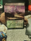 Scattered Groves [Foil] #
