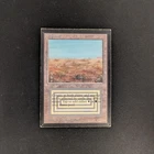 Scrubland #