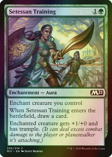 Setessan Training