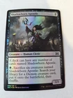 Shadowborn Apostle #