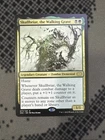 Skullbriar, the Walking Grave #