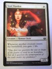 Soul Warden
