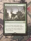 Splendid Reclamation