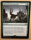 Splendid Reclamation