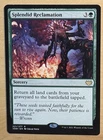 Splendid Reclamation